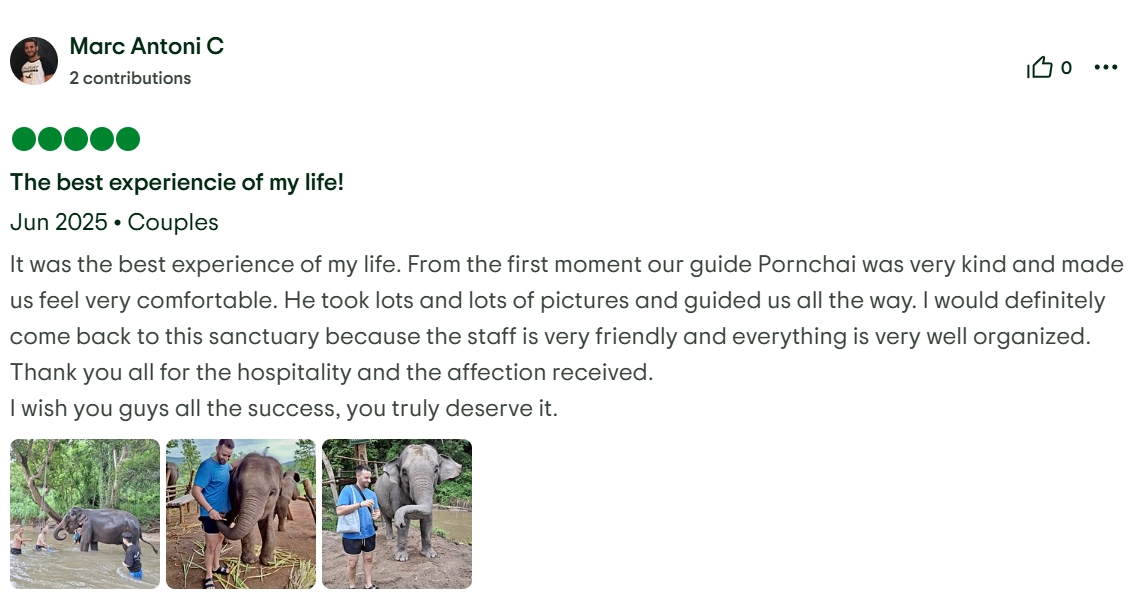 pon elephpant chiangmai thailand reviews